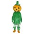 Halloween Pumpkin Mascot Costume