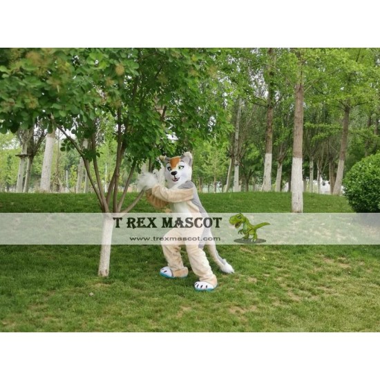 Dog Fox Wolf Realistic Fursuit Animal Mascot Costumes Dog Fox Wolf Realistic Fursuit Animal Mascot Costumes