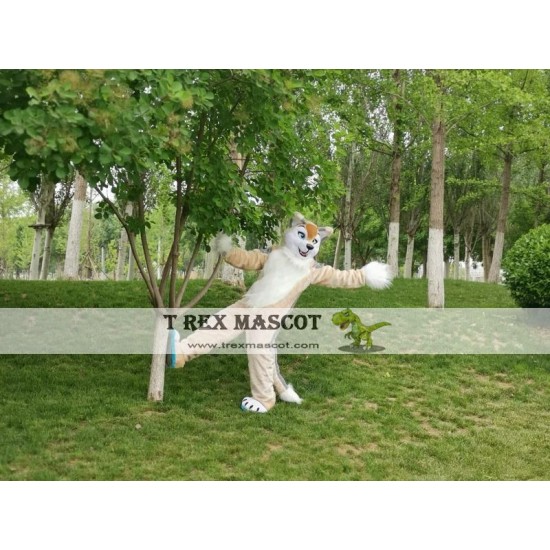 Dog Fox Wolf Realistic Fursuit Animal Mascot Costumes Dog Fox Wolf Realistic Fursuit Animal Mascot Costumes