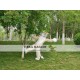 Dog Fox Wolf Realistic Fursuit Animal Mascot Costumes Dog Fox Wolf Realistic Fursuit Animal Mascot Costumes