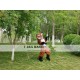 Dog Fox Wolf Realistic Fursuit Animal Mascot Costumes