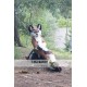 Dog Fox Wolf Realistic Fursuit Animal Mascot Costumes