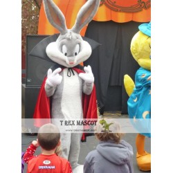 Easter Magic Bunny Rabbit Mascot Costume
