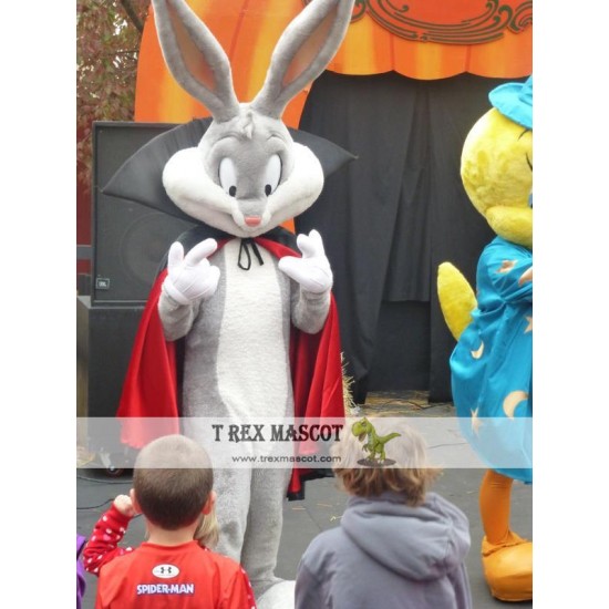 Easter Magic Bunny Rabbit Mascot Costume