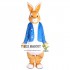 Adult Bunny Easter Rabbit Mascot Costume