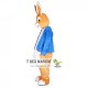 Adult Bunny Easter Rabbit Mascot Costume