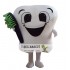 Adult Dentist Tooth Mascot Costume