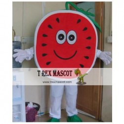 Adult Watermelon Mascot Costume