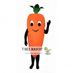 Adult Carrot Mascot Costume