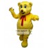 Teddy Bear Mascot Costumes