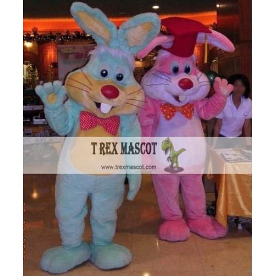 Hares Rabbits Easter Bunnies Mascot Costumes