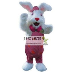 Easter Bunny Mascot Costumes