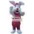 Easter Bunny Mascot Costumes