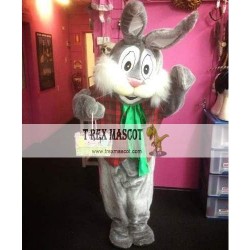 Easter Bunny Mascot Costumes