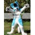 Long Hair Husky Dog Fox Fursuit Mascot Costume