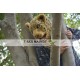 Realistic Leopard Panther Fursuit Head Mask Mascot Head