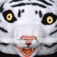 Realistic White Tiger Fursuit Head Mask Mascot Head