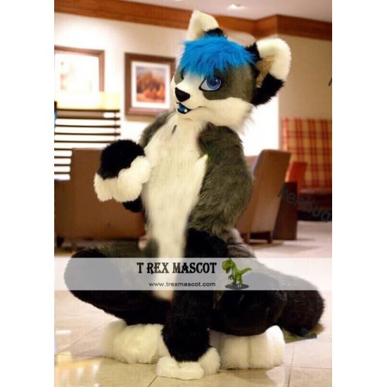 Grey Dog Fox Fursuit Mascot Costume