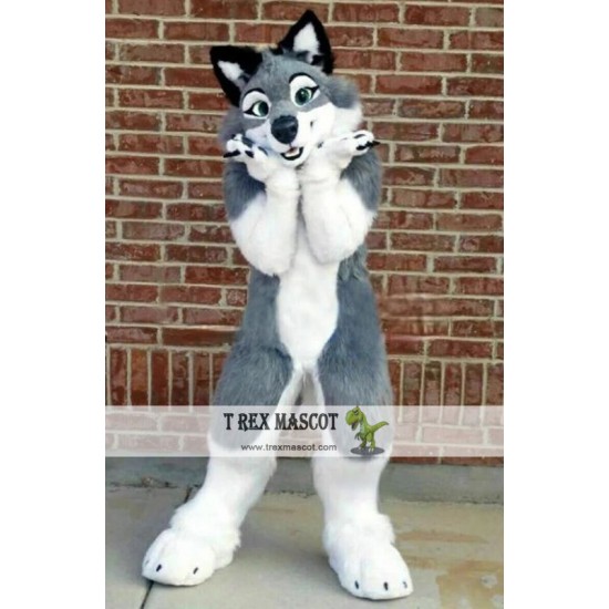 Grey Wolf Husky Dog Fursuit Mascot Costume