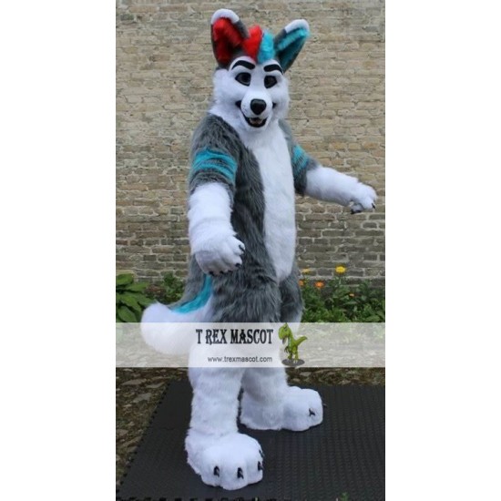 Grey Wolf Husky Dog Fursuit Mascot Costume