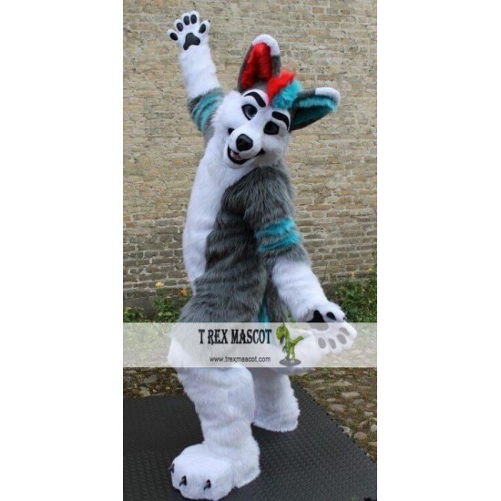 Grey Wolf Husky Dog Fursuit Mascot Costume