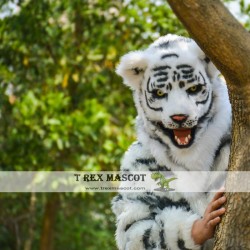 Animal White Tiger Fursuit Head Mascot Head