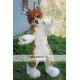 Dog Fursuit Mascot Costume Dog Fursuit Mascot Costume