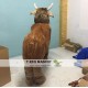 Cow Mascot Costume Wear Bull Costume For Adult Cow Mascot Costume Wear Bull Costume For Adult
