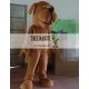 Big Mouth Brown Puppy Dog Mascot Costume For Adult Big Mouth Brown Puppy Dog Mascot Costume For Adult