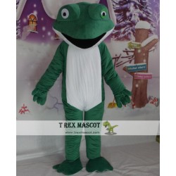 Adult Frog Mascot Frog Cosume