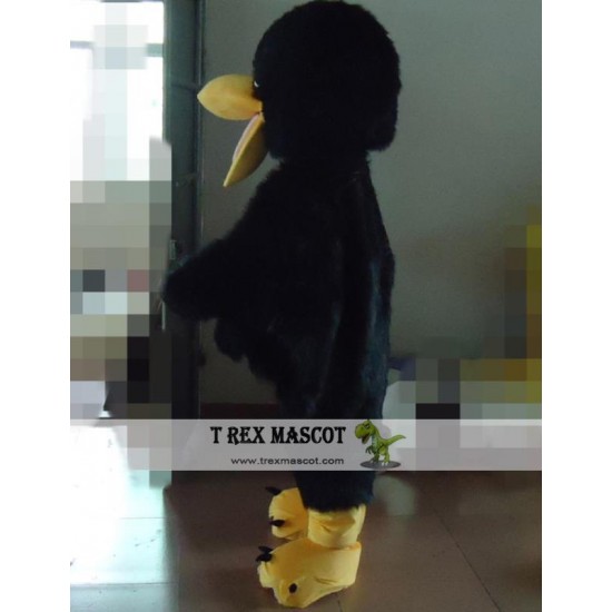 Black Bird Mascot Costume For Adults Bird Costume Black Bird Mascot Costume For Adults Bird Costume