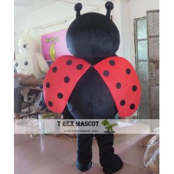 Ladybug Mascot Costume Ladybugs Mascot Costume For Adults