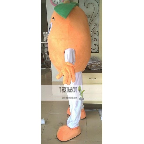 Fruit Costume Adult Mango Mascot Costume Fruit Costume Adult Mango Mascot Costume