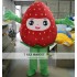 Red Strawberry Mascot Costume For Adults Strawberry Mascot