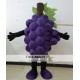 Purple Grape Mascot Costume Adult Grape Costume Purple Grape Mascot Costume Adult Grape Costume