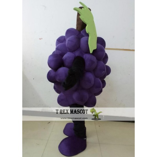 Purple Grape Mascot Costume Adult Grape Costume Purple Grape Mascot Costume Adult Grape Costume