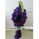 Purple Grape Mascot Costume Adult Grape Costume Purple Grape Mascot Costume Adult Grape Costume
