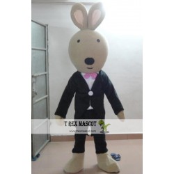 Bunny Ins Mascot Costume For Adults Bunny Mascot