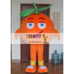 Adult Fruit Orange Mascot Costume