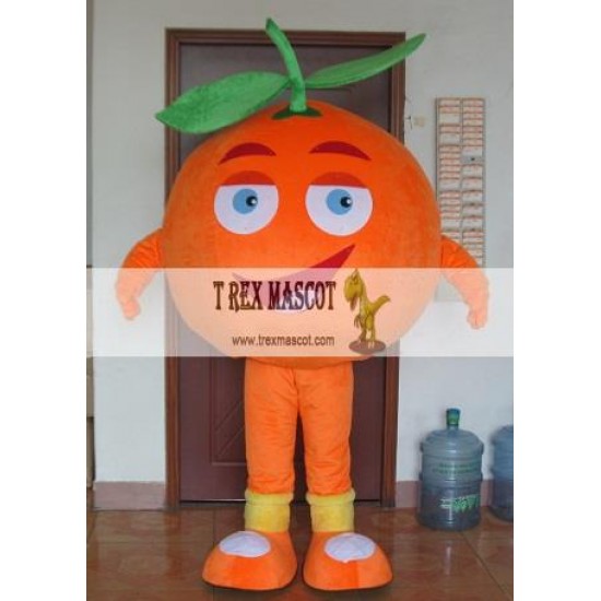Adult Fruit Orange Mascot Costume