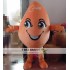 Mango Mascot Costumes For Adult