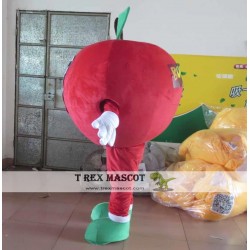 Adult Apple Costume Red Apple Mascot Apple Mascot Costume