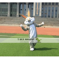 Easter Bunny Mascot Adult Rabbit Costume