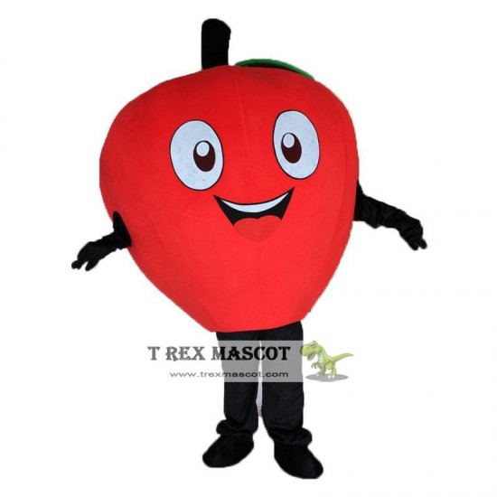 Carnival Costume Little Read Apple Mascot Costume Carnival Costume Little Read Apple Mascot Costume