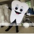 Teeth Tooth Mascot Costume Size Adult Costumeies