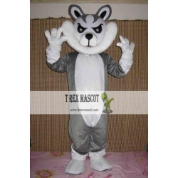 Wolf Cartoon Mascot Costumes