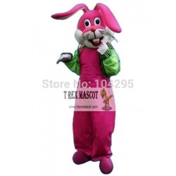 Rabbit Mascot Costumes Mascots