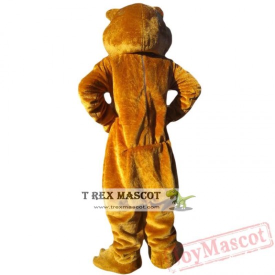 Animal Brown Bear Mascot Costume for Adult & Kids