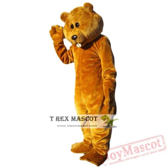 Animal Brown Bear Mascot Costume for Adult & Kids