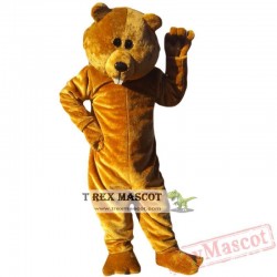 Animal Brown Bear Mascot Costume for Adult & Kids